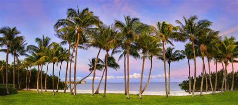 Stuart Florida Palm Beach with Palm Trees at Sunset Panoramic | Justin Kelefas Fine Art Photography