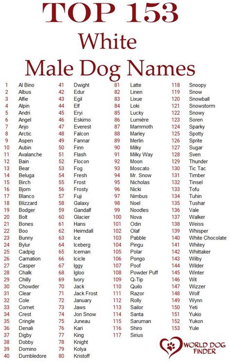 Male white dog names | Boy dog names unique, Dog names unique, Boy dog names