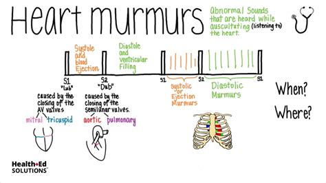 Most Common Heart Murmur In Elderly - BEST HOME DESIGN IDEAS