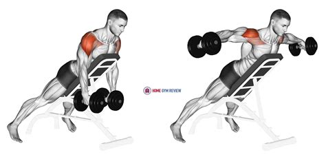 Dumbbell Incline Rear Lateral Raise - Home Gym Review