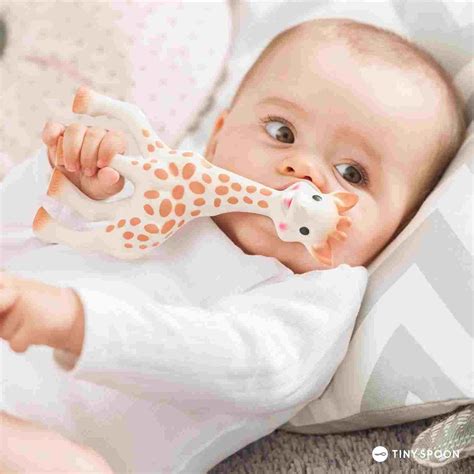 8 Best Teething Toys For Babies 2024 - Cooling & Natural