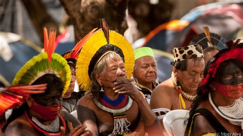 Amazon Rainforest Indigenous People Of Brazil