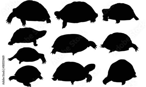 Tortoise Silhouette Vector Graphics Stock Vector | Adobe Stock