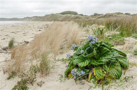 The Chatham Islands, New Zealand, in pictures | CNN