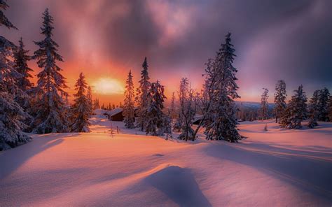 nature, Landscape, Forest, Sunset, Cottage, Winter, Snow, Trees, Cold ...