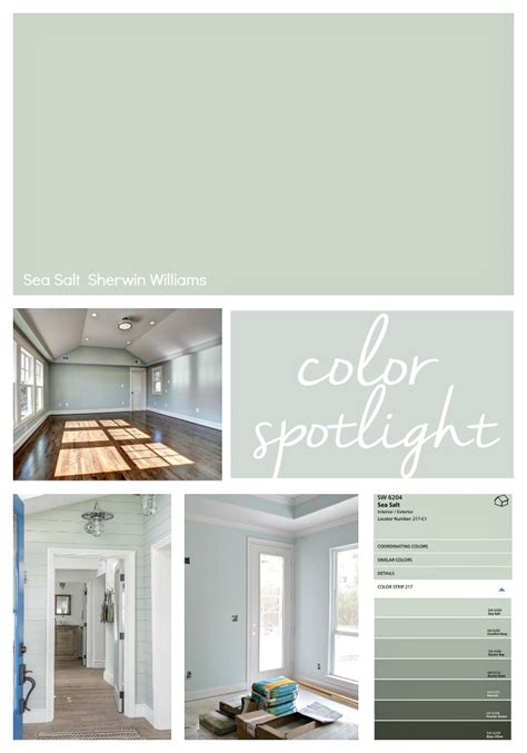 What Behr Color Is Closest To Sherwin Williams Sea Salt - Infoupdate.org