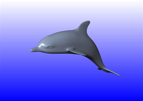 3D Printed DOLPHIN by José Luis Garcia | Pinshape