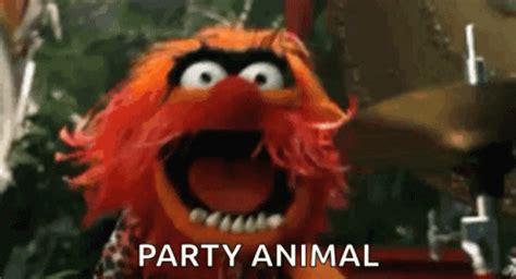 “Party Animals”GIF | Tenor