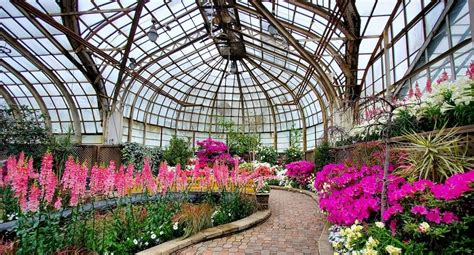 Lincoln Park Conservatory Will Bring Spring Flower Show "Pretty In Pink" To A Close On Mother's Day