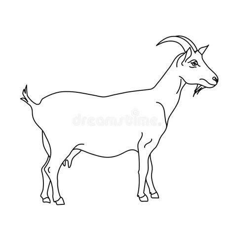 Goat Line Drawing Stock Illustrations – 4,343 Goat Line Drawing Stock ...