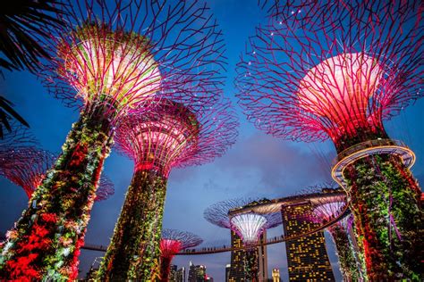 Marina Bay Garden Singapore Night Royalty-Free Stock Photo