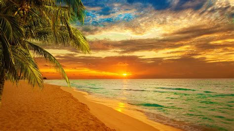 View Of Seashore Sand And Tree During Sunset Under Blue And Cloudy Sky HD Sunset Wallpapers | HD ...