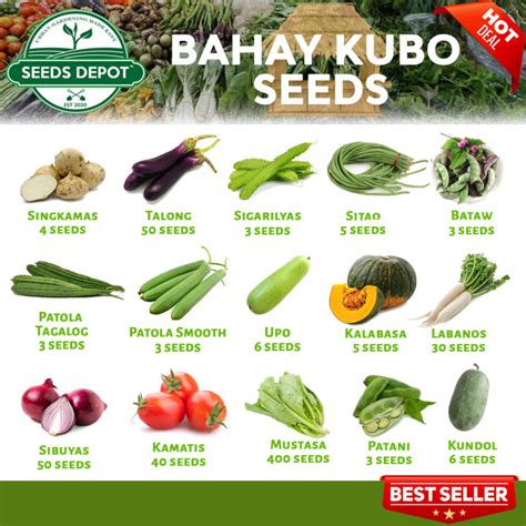 Bahay Kubo Vegetable Seeds - Sigarilyas Talong Sitao Bataw Patani Kundol Patola Kalabasa Labanos ...