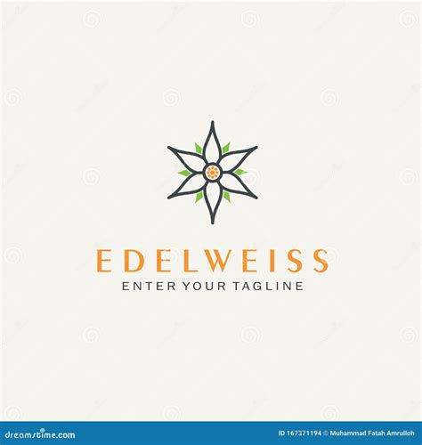 Abstract Edelweiss Flower for Logo Design Inspiration Stock Vector - Illustration of abstract ...