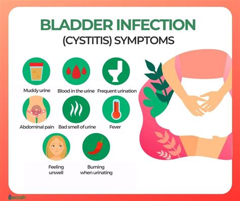 BLADDER INFECTION (CYSTITIS) - Symptoms, Causes and Natural Remedies ...