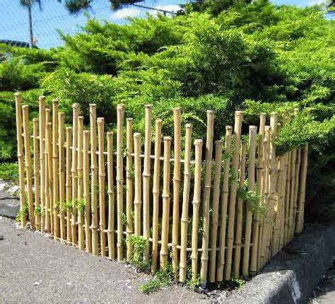 9 Best Bamboo garden fences ideas | bamboo garden, bamboo fence, bamboo garden fences