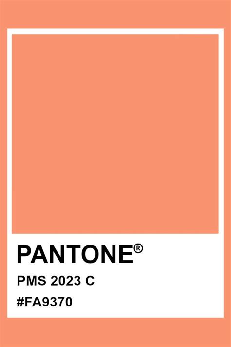 Pantone Color Of The Year 2023 Hex - Goolsby Charlie