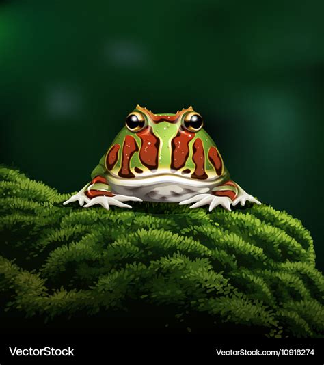 Argentine horned frog Royalty Free Vector Image