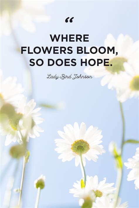 Lady Bird Johnson countryliving Happy Quotes, Positive Quotes, Motivational Quotes, Funny Quotes ...