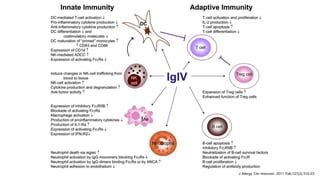 Immunoglobulin therapy | PPT