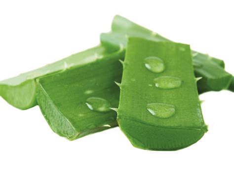 Aloe Vera Gel Aloe Barbadensis Leaf Juice - Botanical Extracts ...