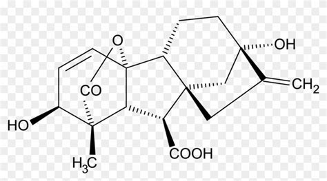 Download File - Gibberellic Acid - Svg - Chemical Structure Of ...