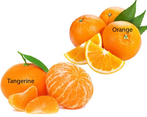 Tangerine vs Orange | thosefoods.com