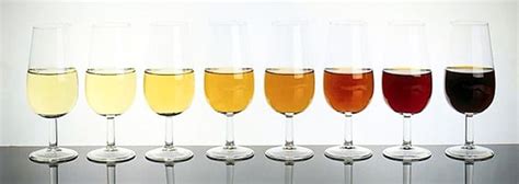 Sherry types: dry and sweet styles | SherryNotes