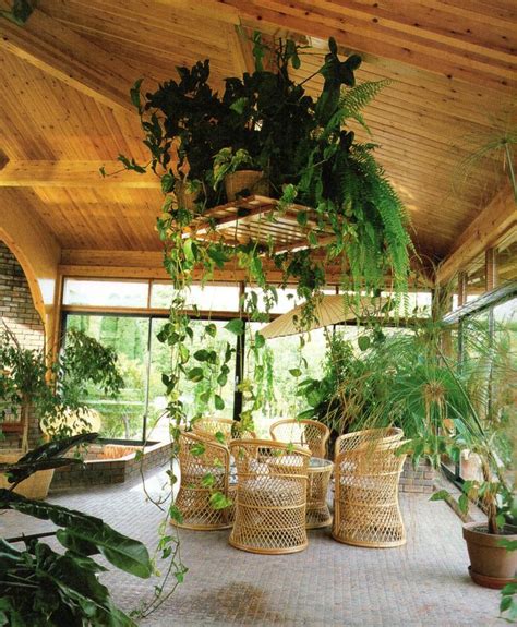 29 best Home & Sunroom Plants images on Pinterest