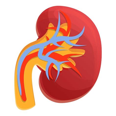 Premium Vector | Dialysis kidney icon Cartoon of dialysis kidney vector icon for web design ...