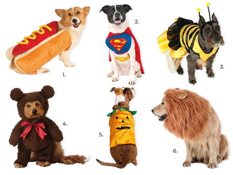 30+ Cute Halloween Costumes for Pitbulls - Hey, Djangles.