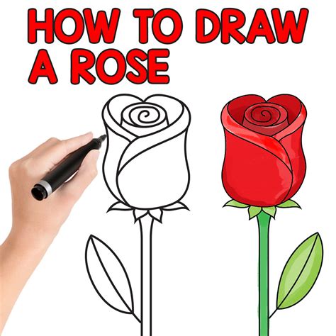 Beautiful Easy Rose Drawing Colored / We have come up with the easy ...