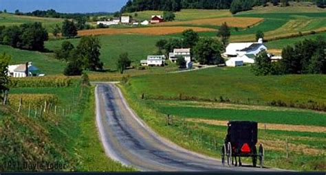 The Best Ohio Amish Country Tour: Amish Heartland Tours