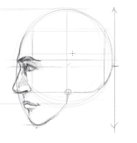 How To Draw Face In Profile - Thoughtit20