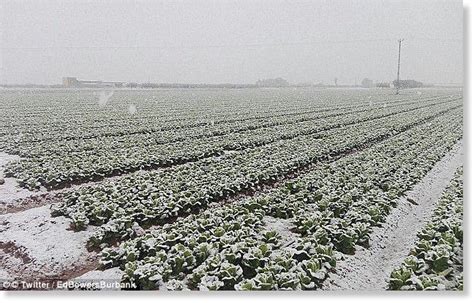 Ice Age Farmer Report: "Death Sentence" for food production: Grand Solar Minimum -- Earth ...