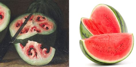 Watermelons: 17th century and now : pics