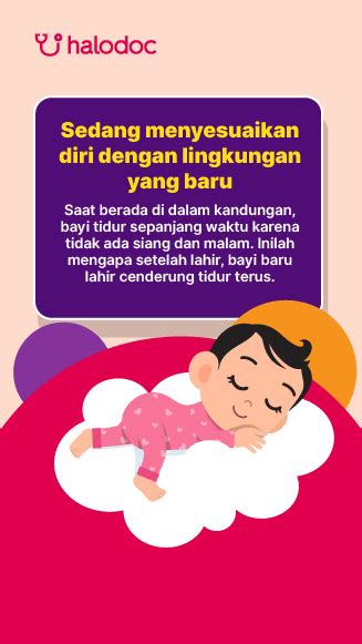 Apakah Normal Jika Bayi Baru Lahir Tidur Terus? Ini Faktanya