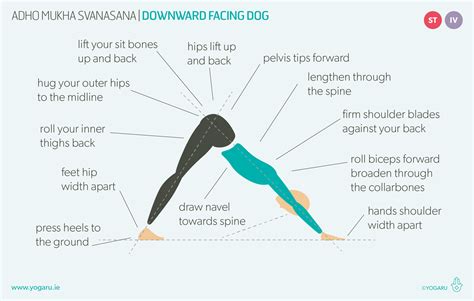 Adho Mukha Svanasana - Downward Facing Dog — YOGARU