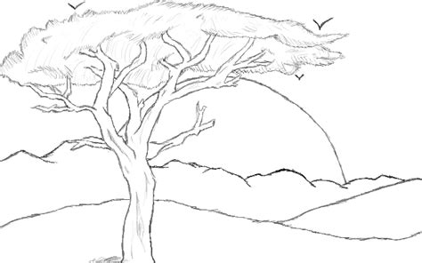 Free Tree Drawing Outline, Download Free Tree Drawing Outline png images, Free ClipArts on ...