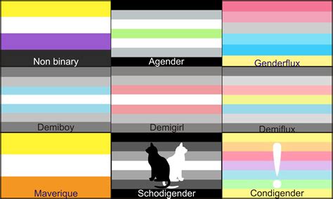 Non Binary Meaning : Non Binary Gender Wikipedia : More definitions ...