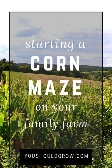 Thinking Of Starting A Corn Maze? Read This First - You Should Grow