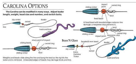 Carolina Rig: Everything You Need to Know - Hunting Fishing Gear