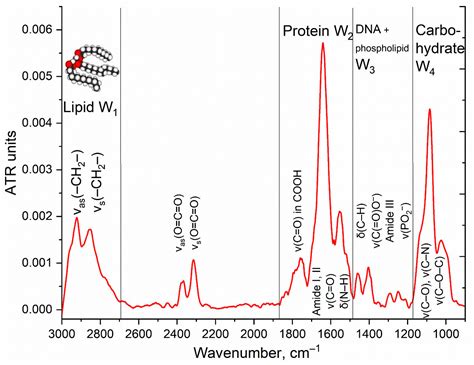 Ftir Spectra Table Pdf - Infoupdate.org