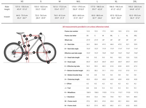 Cervelo P2 Size Guide - Guides Online