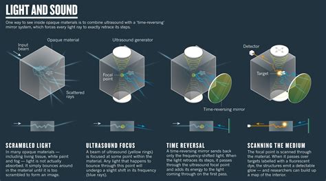 Researchers have found a way to see light through opaque materials