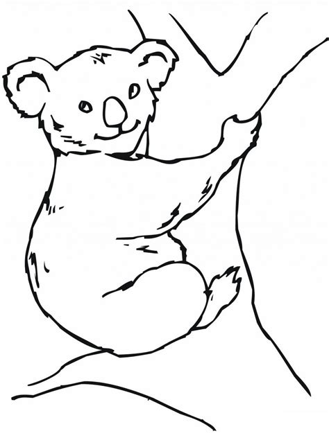 Koala Outline Drawing at PaintingValley.com | Explore collection of Koala Outline Drawing