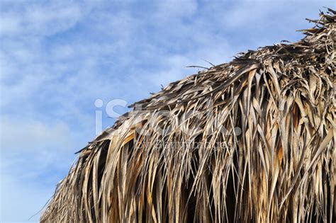 Straw Roof Stock Photo | Royalty-Free | FreeImages