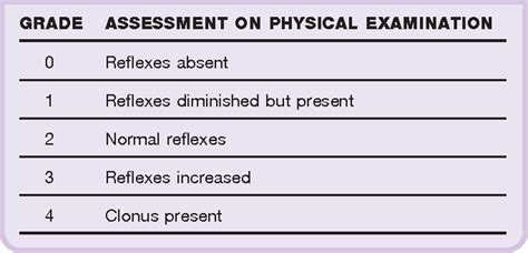 Deep Tendon Reflex Scale