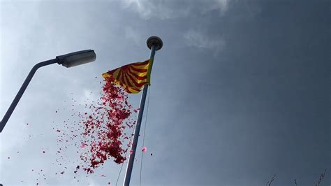 Flag_Hoisting_Ceremony_Petals – Brahma Kumaris News