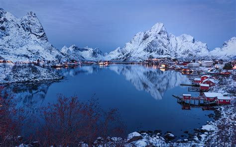 Online crop | brown trees, nature, blue, Norway, mountains HD wallpaper | Wallpaper Flare